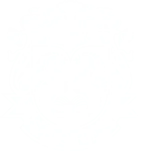 Vallarta Shores